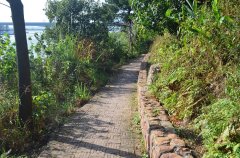 飛來峽古棧道（白廟至飛來寺段）修復工程如火